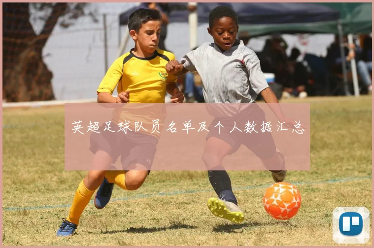 英超足球队员名单及个人数据汇总