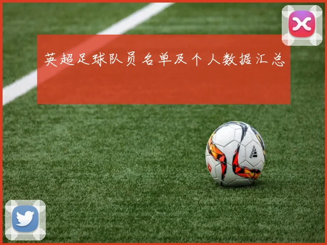 英超足球队员名单及个人数据汇总