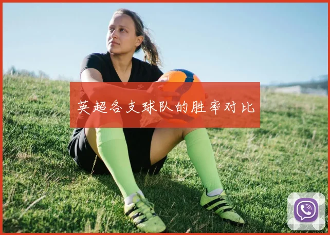 英超各支球队的胜率对比