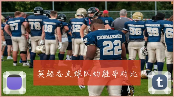 英超各支球队的胜率对比