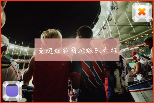 英超红花图标球队介绍