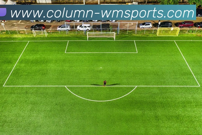 完美体育官网发展历程